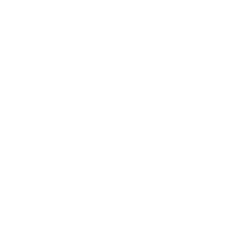 Dynamic Commerce Group